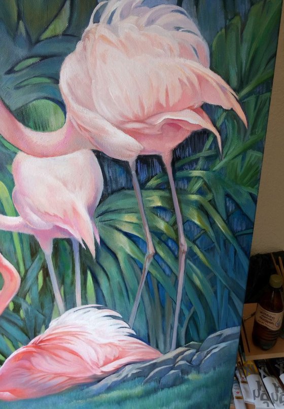 Flamingos