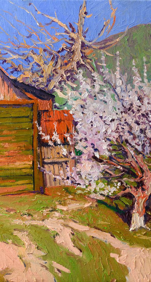 Farmhouse and Apricot Tree by Suren Nersisyan