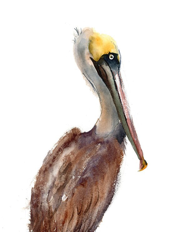 Brown Pelicans Set of 2