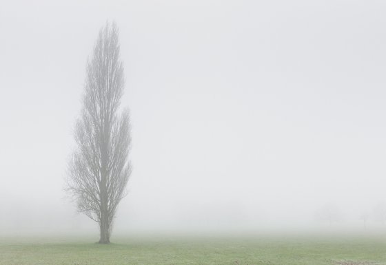London Fog VII