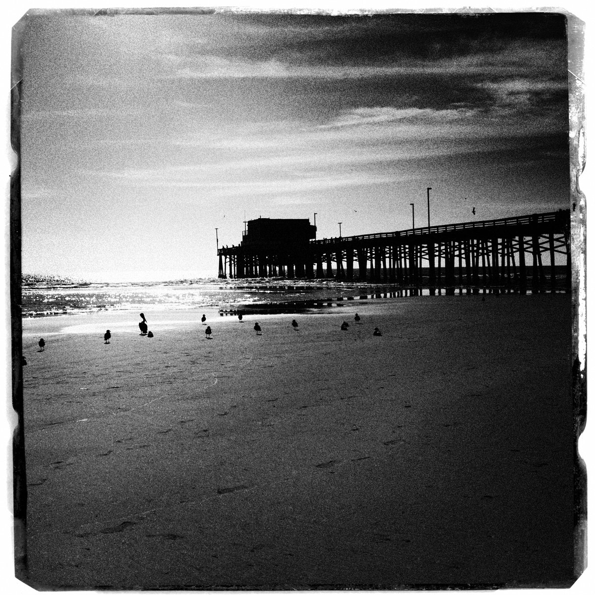 Abstract Landscape Photograph By Heike Bohnstengel, 16 X 16, Newport Beach Pier, Original Artwork