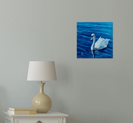 Swan and blue water