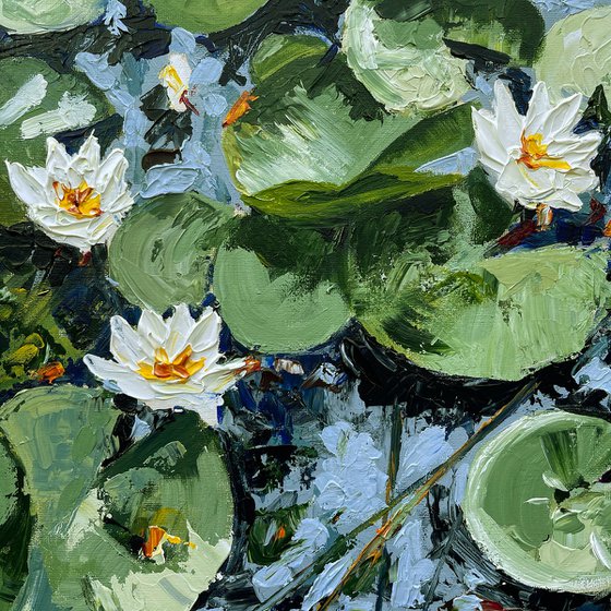 THE WATER LILY POND