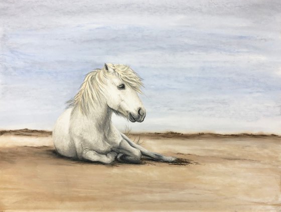 Camargue Horse on the Beach