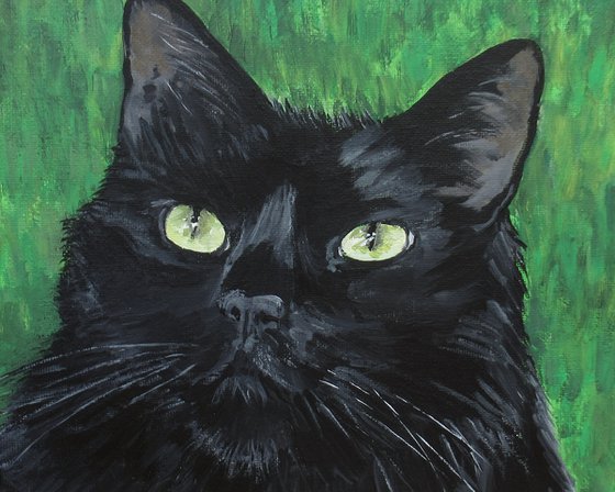 Charismatic Cat