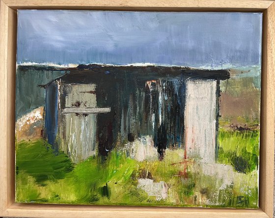 Allotment Shed