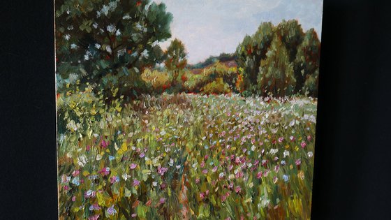The Wildflower Rhapsody