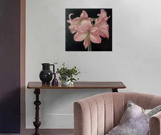 "Pink amaryllis"