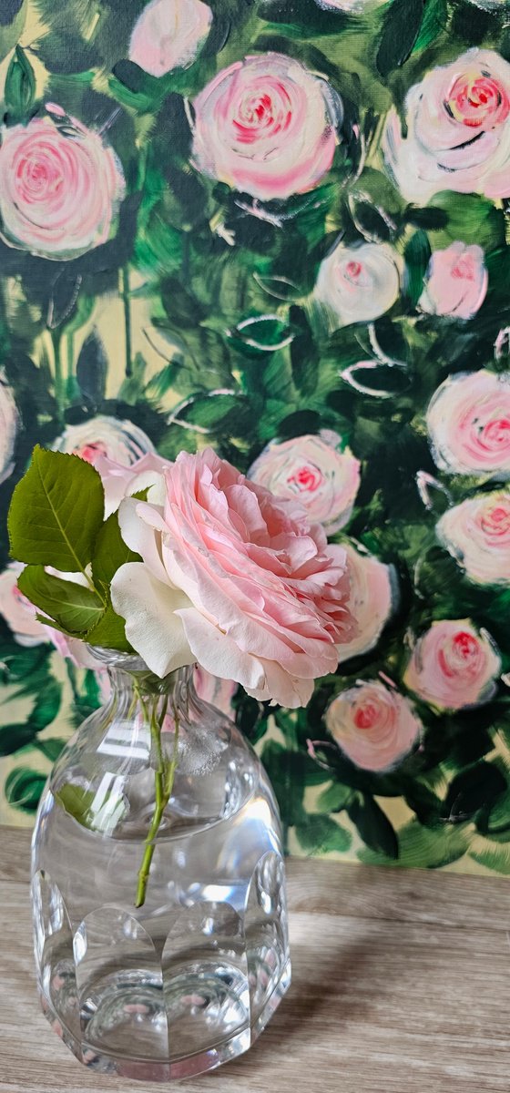 Abstract blooming pink roses bush garden