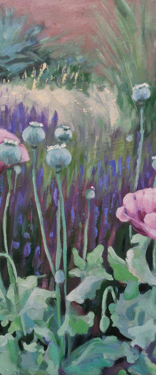 Pink poppies by Kerry Lisa Davies