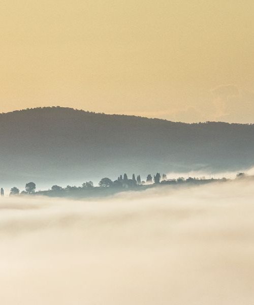 Island in the fog III. - Landscape in Tuscany, Italy by Peter Zelei