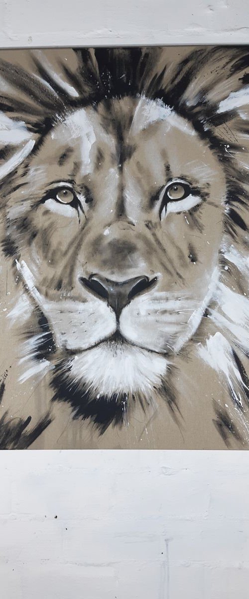 Big Cat - Lion #5 - Series One of the big five by Stefanie Rogge