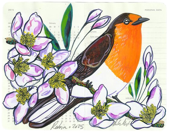 Birds of Europe: Robin