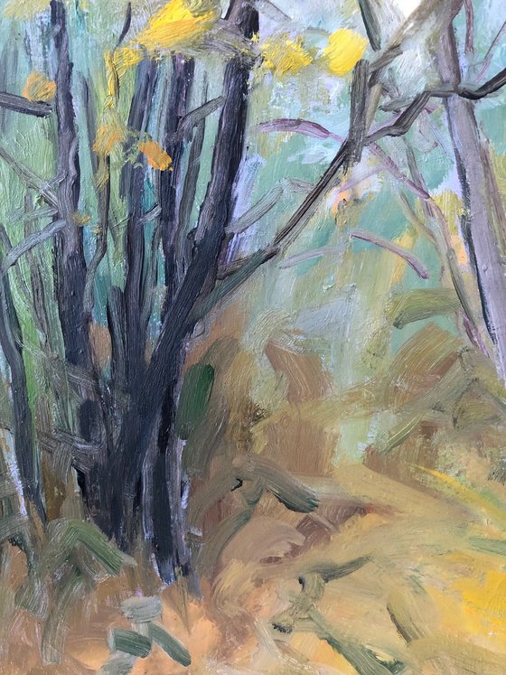 traipsing the leaves