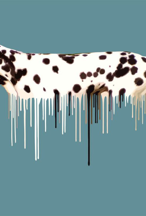 Dalmation by Carl Moore