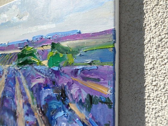 "  lavender "