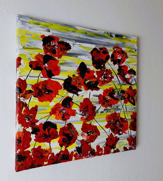 Red Poppies 4