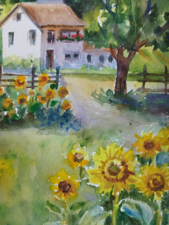 Sunlit Garden