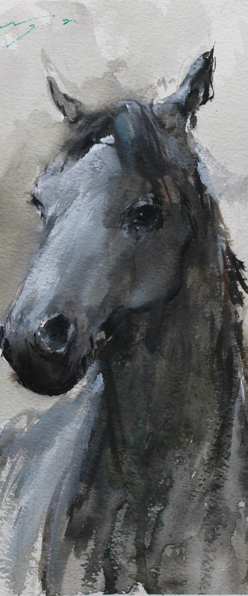 Grey Portrait by Maximilian Damico