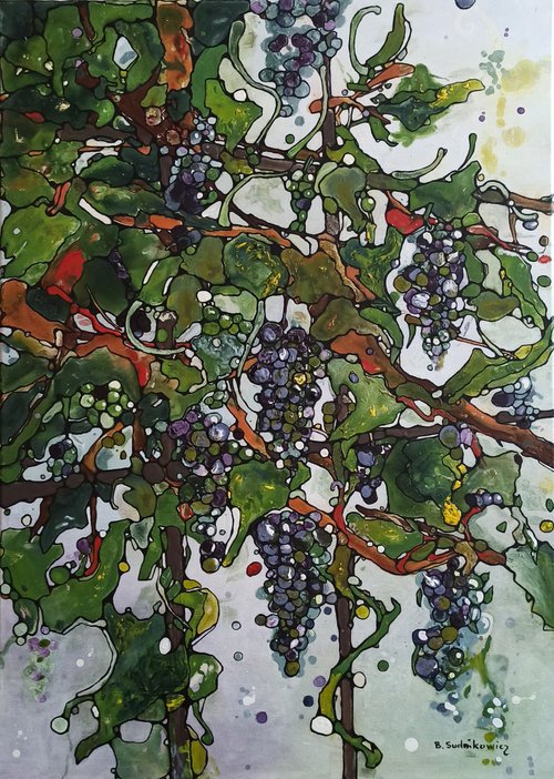 The vine by Beta Sudnikowicz