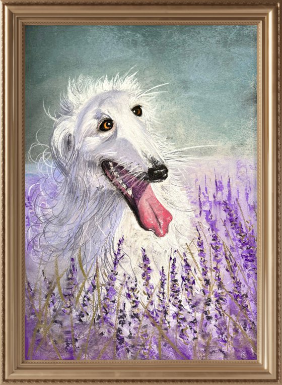 Dog Portrait Lavanda Field