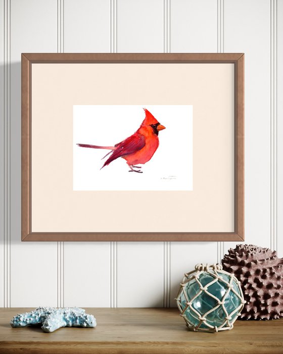 Cardinal Bird