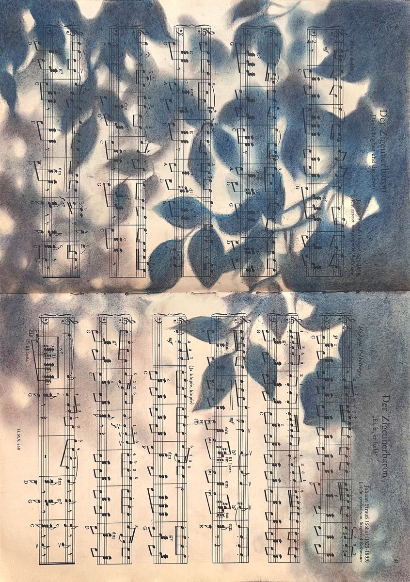 Pastel Drawing , Leaf Silhouette Pastel On Vintage Sheet Music By Julia Shilo, 17 X 21, Artwork For Sale On Artfinder