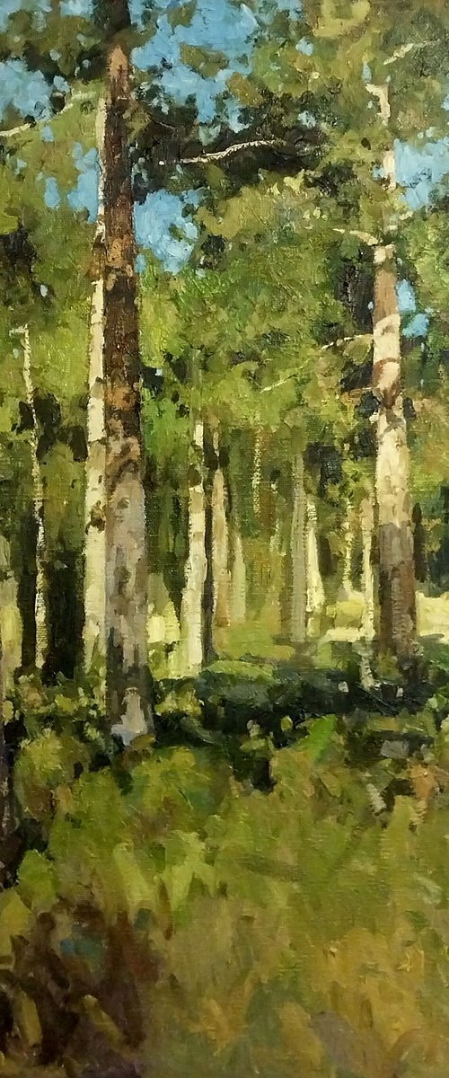 pine forest by Vahan Shakhramanyan