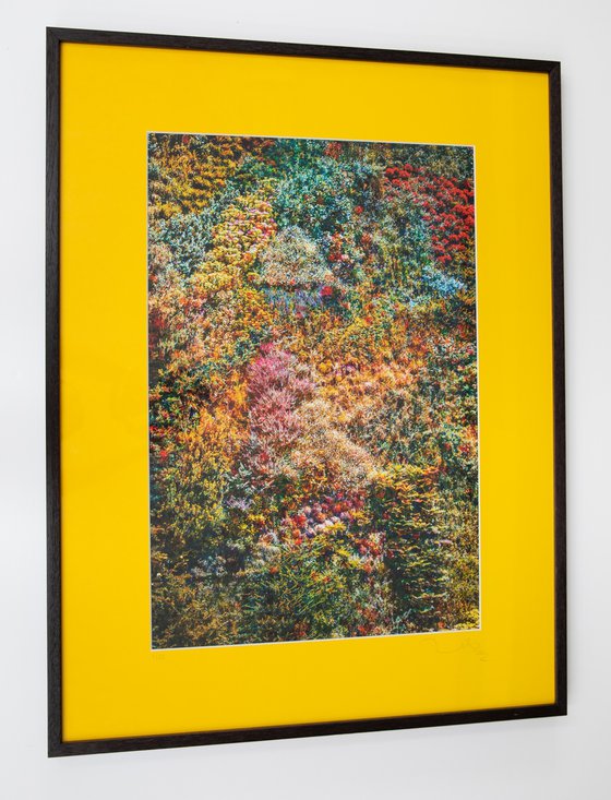 Wall of Nature I (Framed)