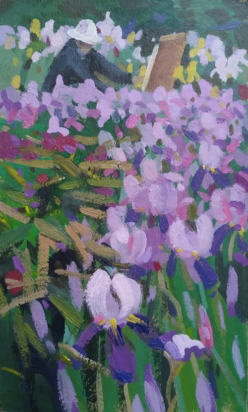 Irises by Sergey  Kachin