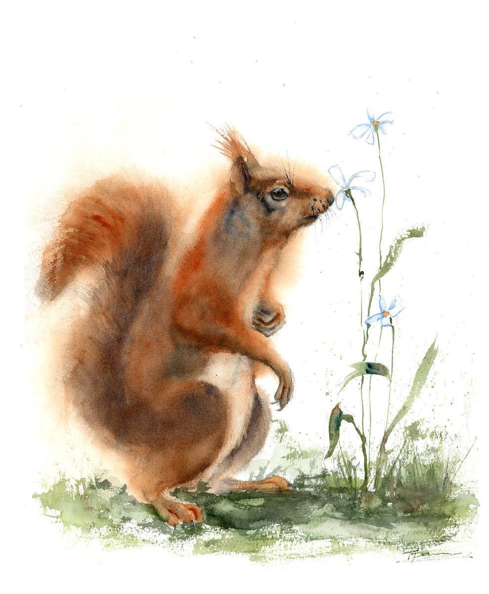 Impressionistic Watercolour , Squirrel And Flower By Olga Tchefranov (Shefranov), 12 X 15, Artwork For Sale On Artfinder