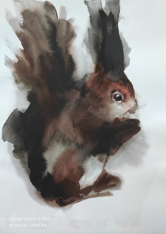 "Squirrel"