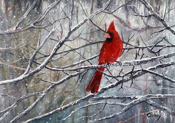 Red Cardinal