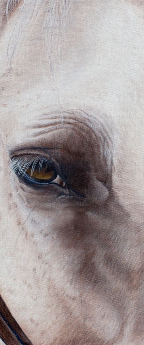 Pride's eye. by Pauline Sharp