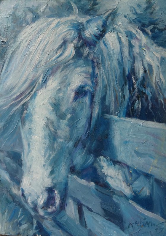 "Horse in Blue.". Oil painting on cardboard.27x38cm