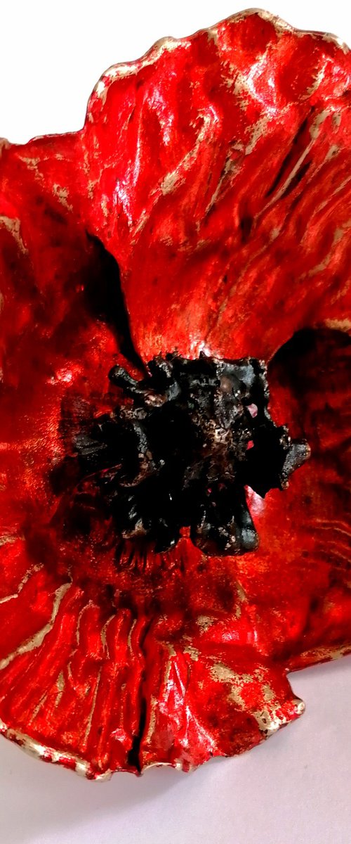 Red Papaver Poppy by Alexandra Konstantinovna