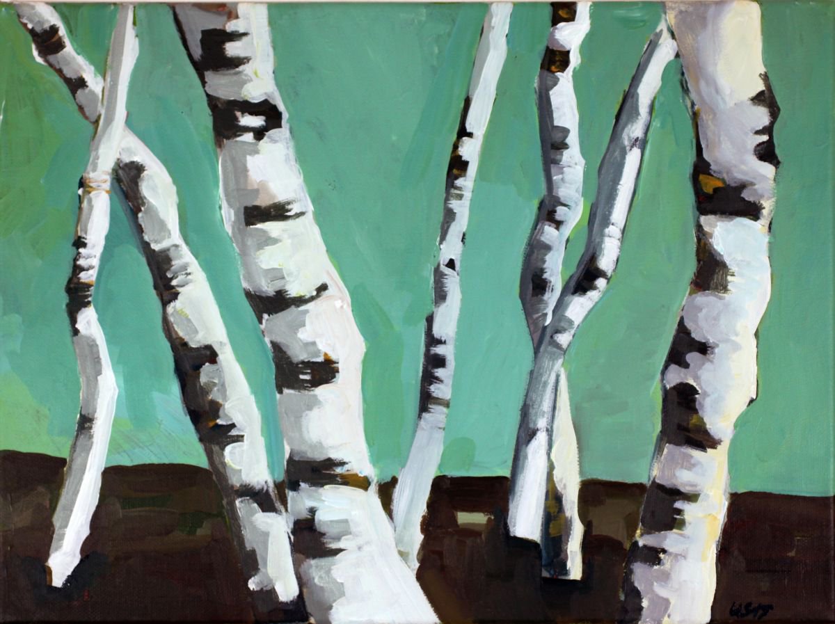 Birken by Ulli Schmitt