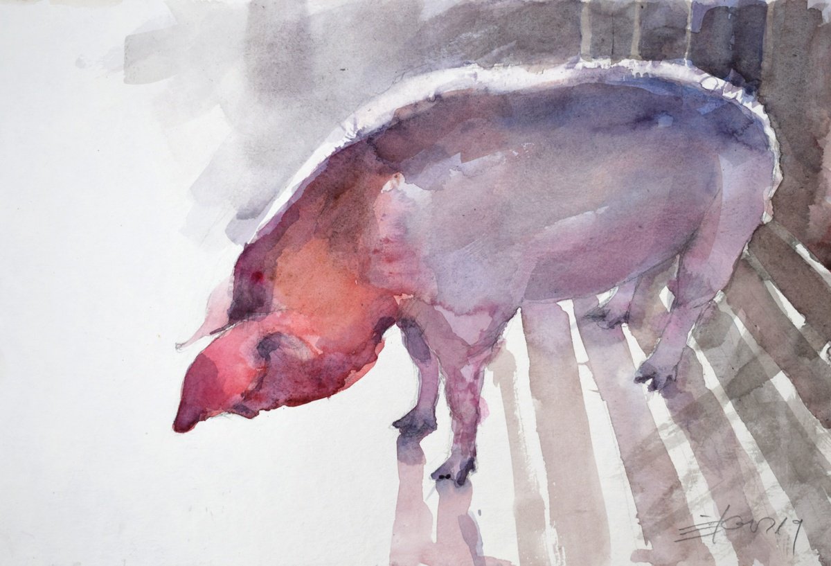 Expressive Animal Watercolour By Goran Zigolic Watercolors, 20 X 14, Piggy, Original Artwork