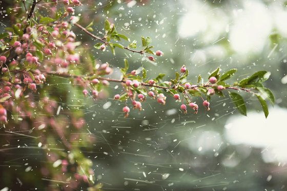 Snow in September