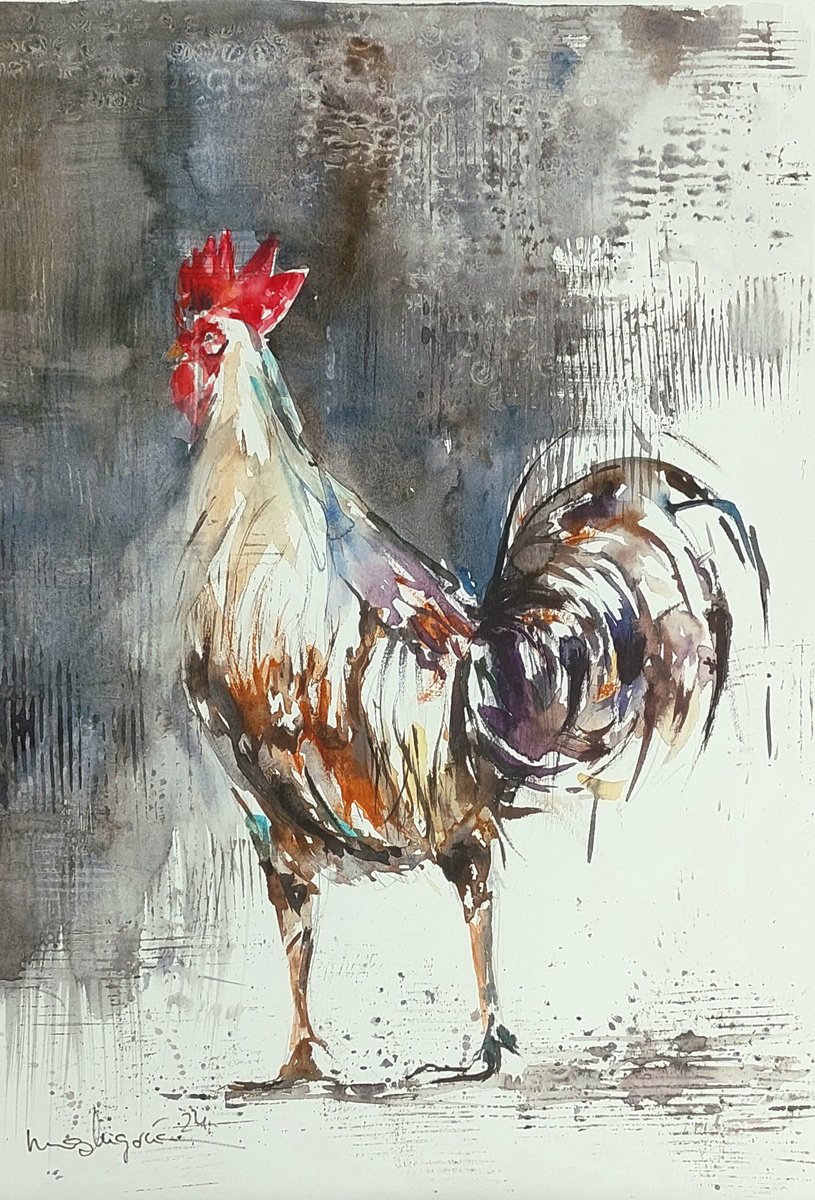 THE ROOSTER OF THE NICE