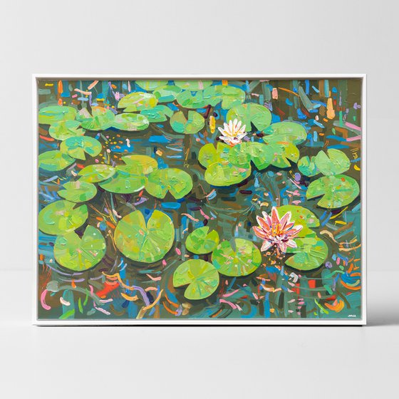 Tasman Lily Pond 50