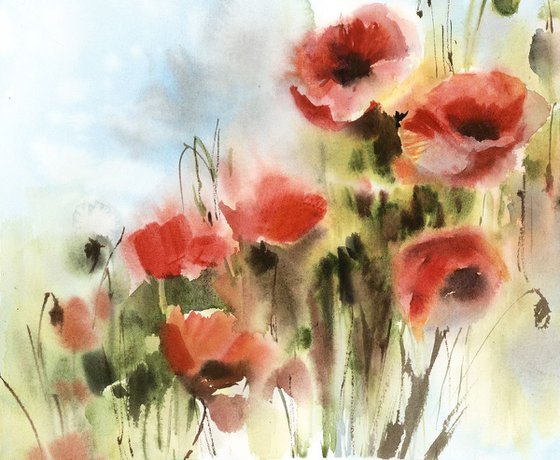 Poppy Flowers