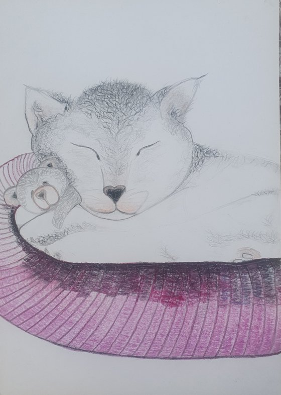 Cuddling with Teddy | Cat Drawing with Pencil and Watercolour Pencils A4 Size