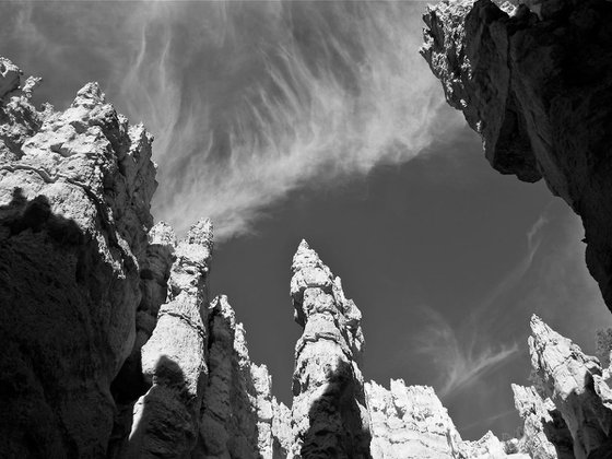 Hoodoos of the Navajo Trail