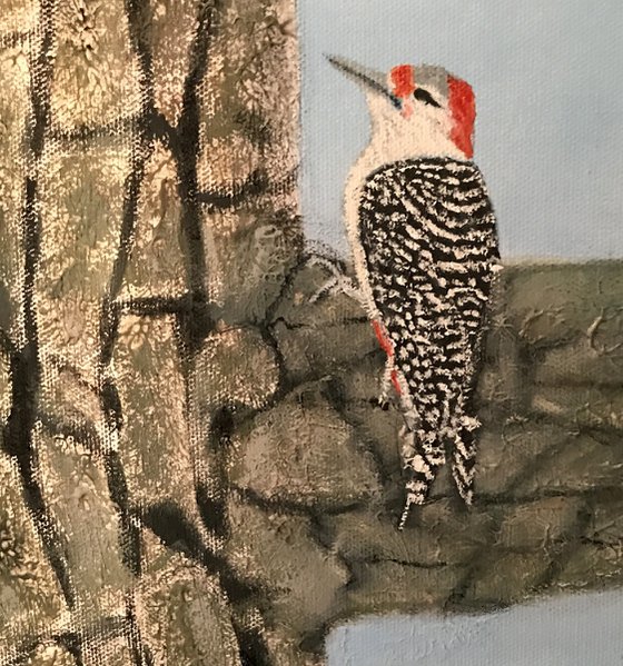 WOODPECKERS ON A GUM TREE