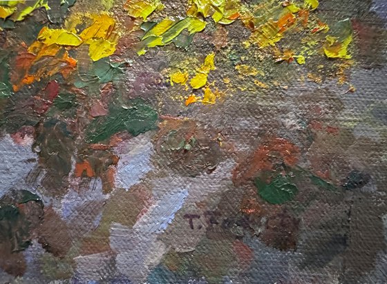 Late Morning At Point Lobos