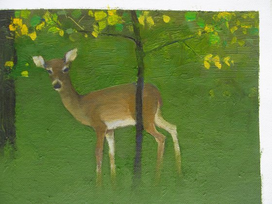 Silent Encounter