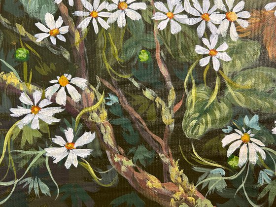 Daisies of the Forest