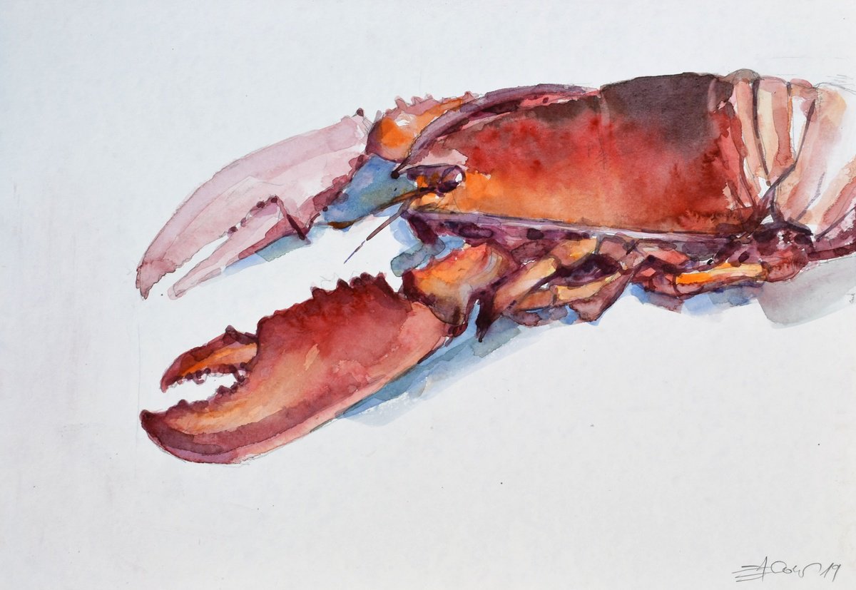 Expressive Animal Watercolour By Goran Zigolic Watercolors, 20 X 14, Lobster, Original Artwork