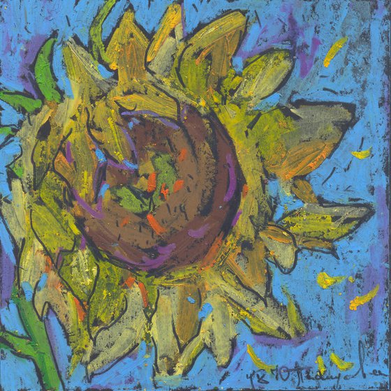 Sunflower on the blue